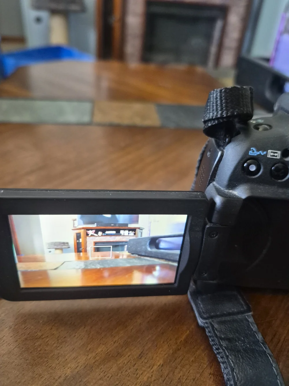 Canon powershot sx1